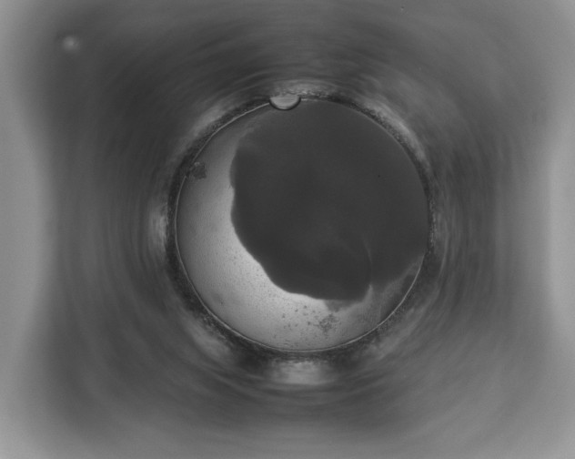 X0000112830063200908281540