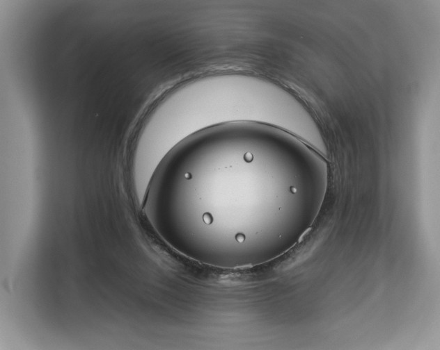 X0000112830064200908281540