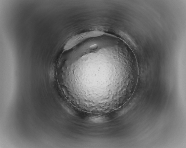 X0000112830065200908281540