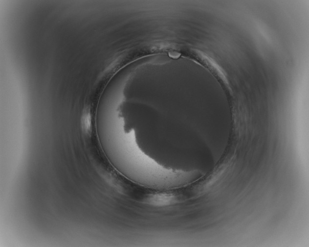 X0000112830067200908281540