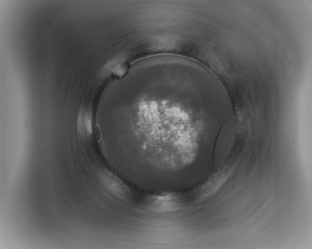 X0000112830068200908281540