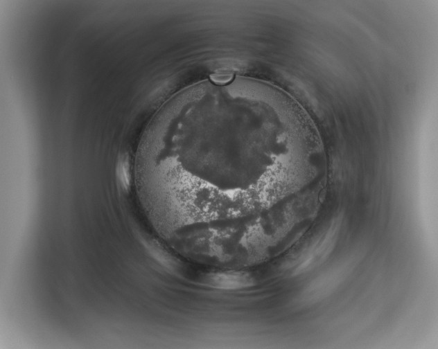 X0000112830069200908281540