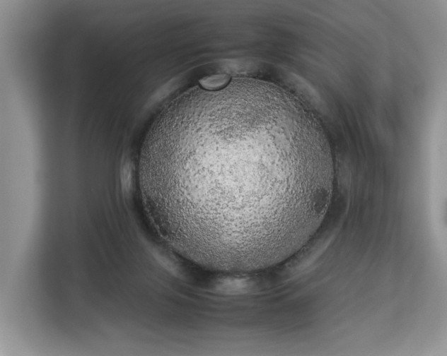 X0000112830071200908281540