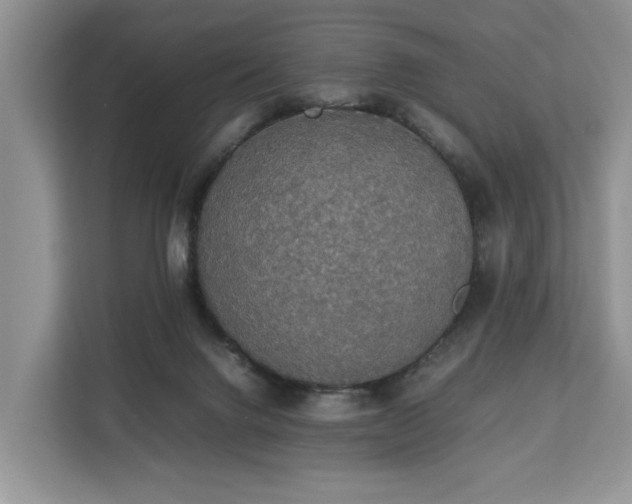 X0000112830072200908281540