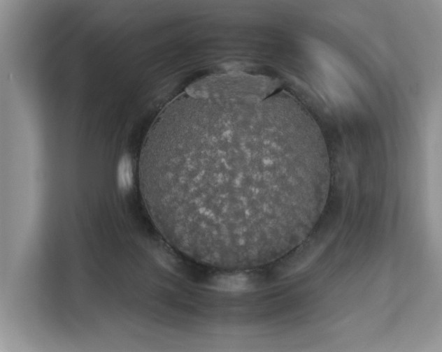 X0000112830075200908281540