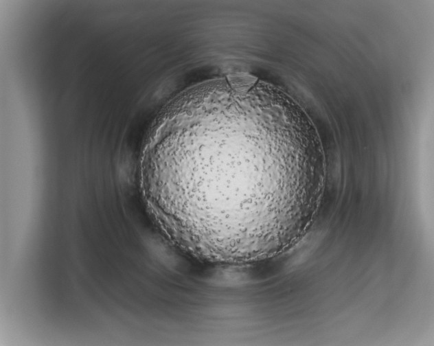 X0000112830078200908281540