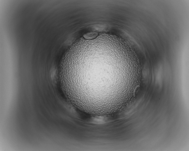 X0000112830079200908281540