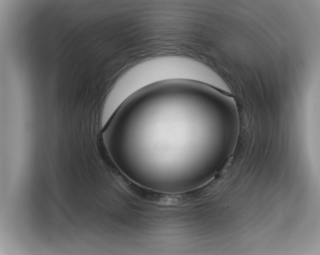 X0000112830080200908281540