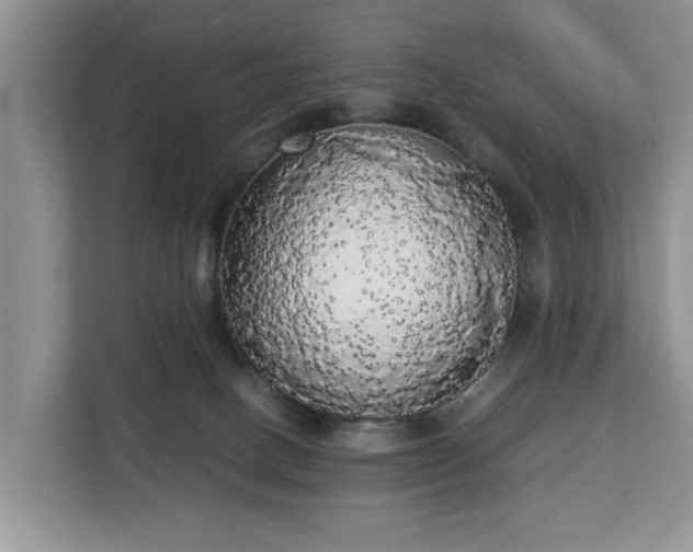 X0000112830082200908281540