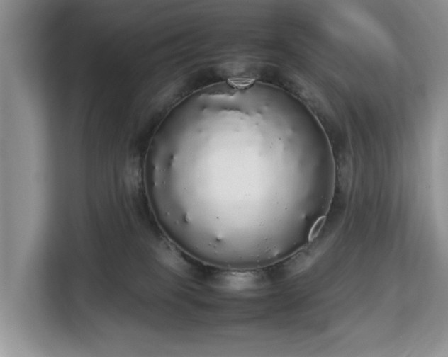 X0000112830085200908281540