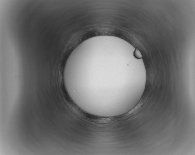 X0000112830086200908281540