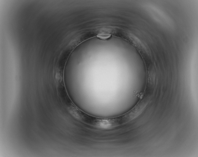 X0000112830091200908281540