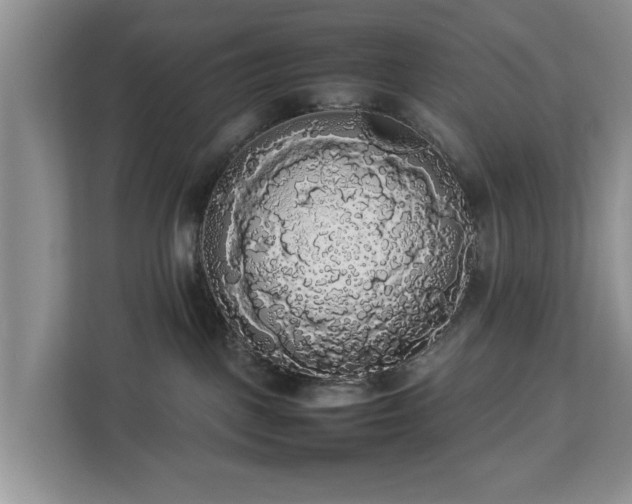 X0000112830093200908281540