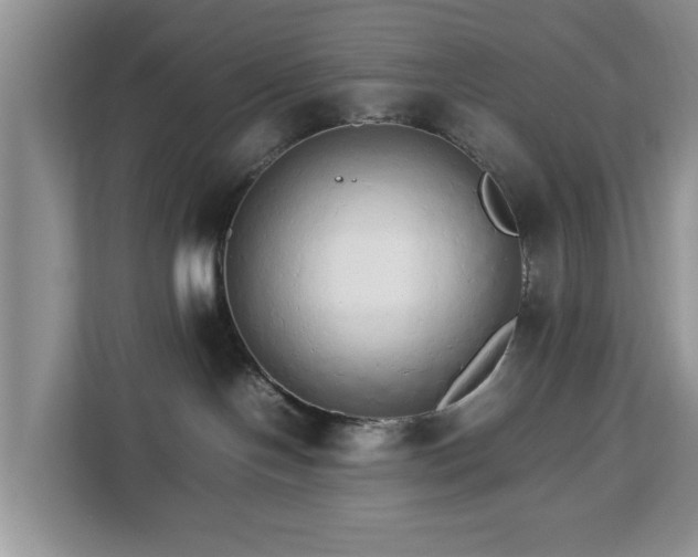 X0000112830094200908281540