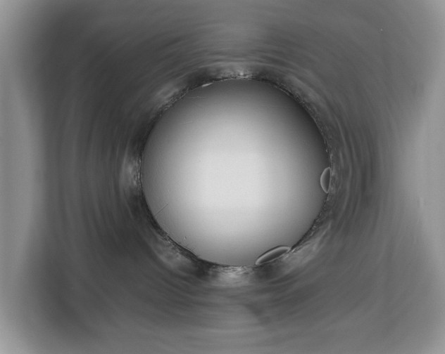 X0000112830096200908281540