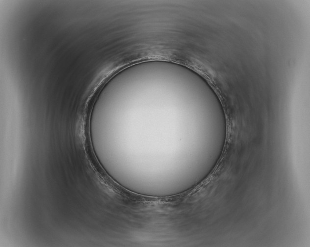 X0000112830098200908281540