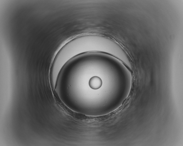 X0000112830100200908281540