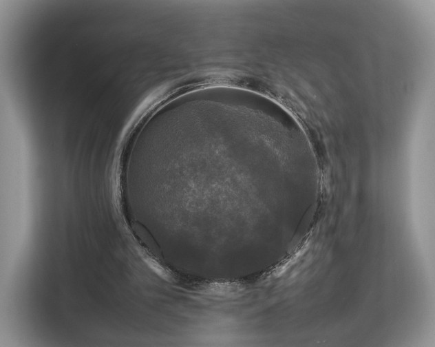 X0000112830101200908281540