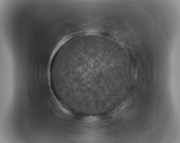 X0000112830102200908281540