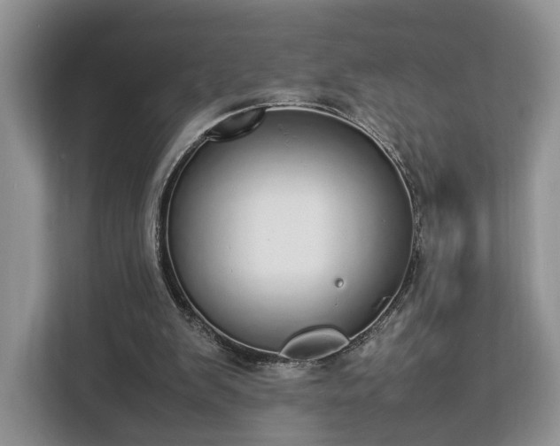 X0000112830103200908281539