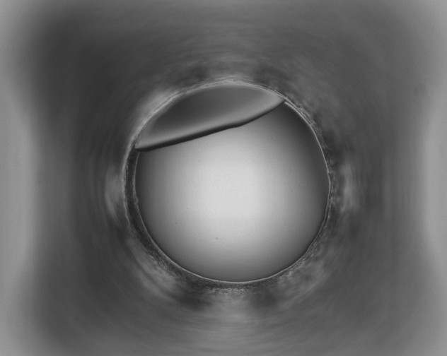 X0000112830104200908281539