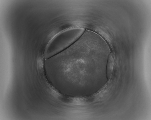 X0000112830105200908281539