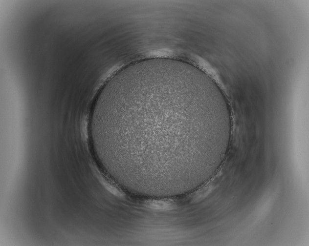 X0000112830106200908281539