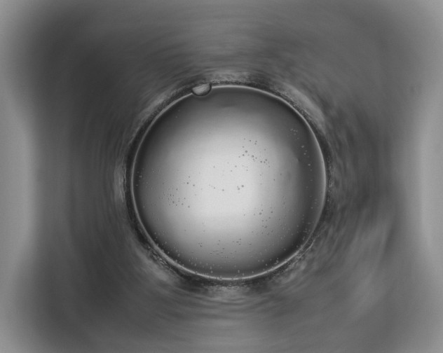 X0000112830107200908281539