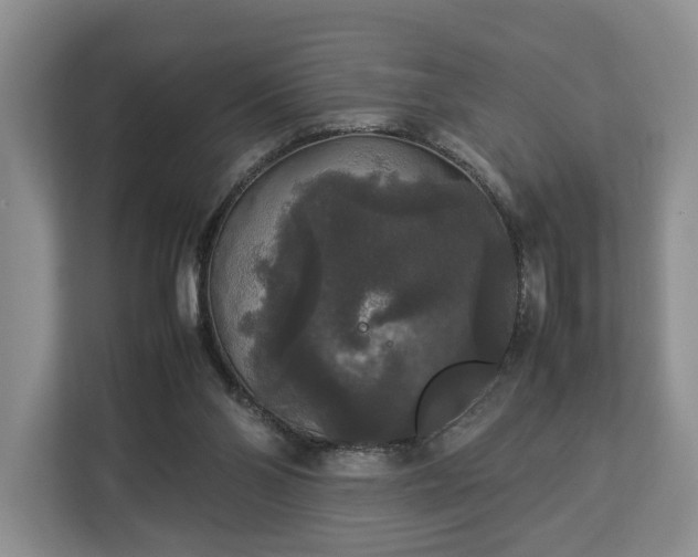 X0000112830110200908281539