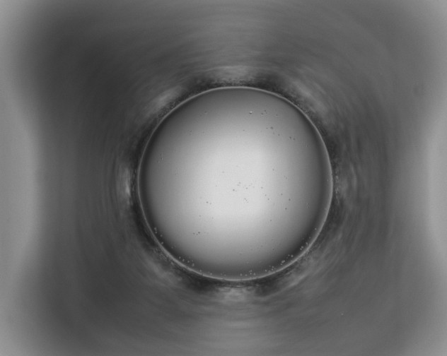 X0000112830115200908281539