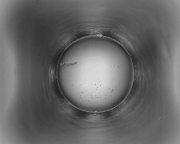 X0000112830123200908281539