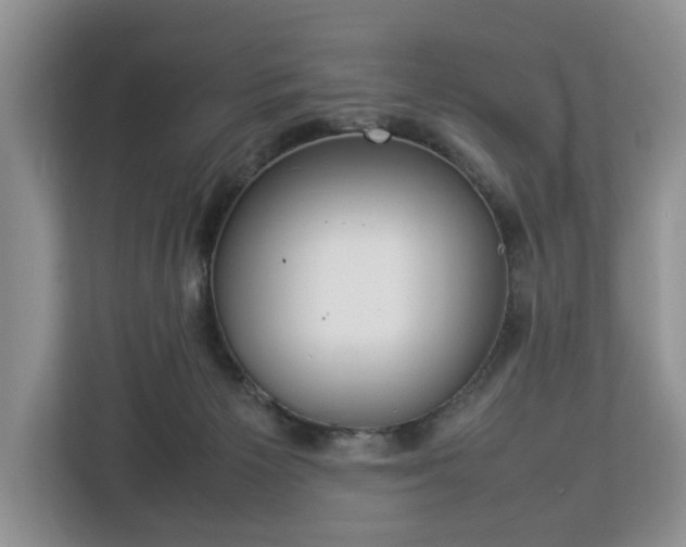 X0000112830125200908281539