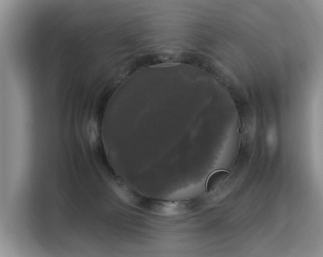 X0000112830130200908281539