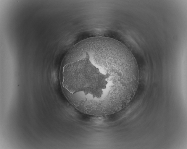 X0000112830131200908281539