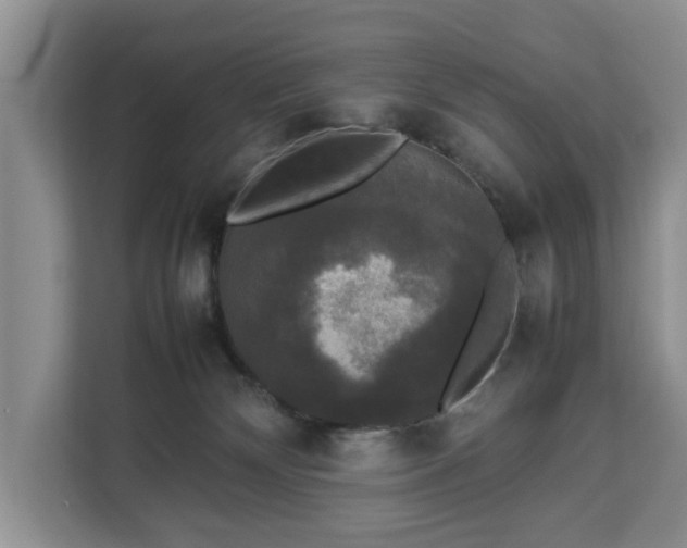 X0000112830132200908281539