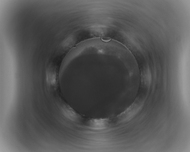 X0000112830134200908281539