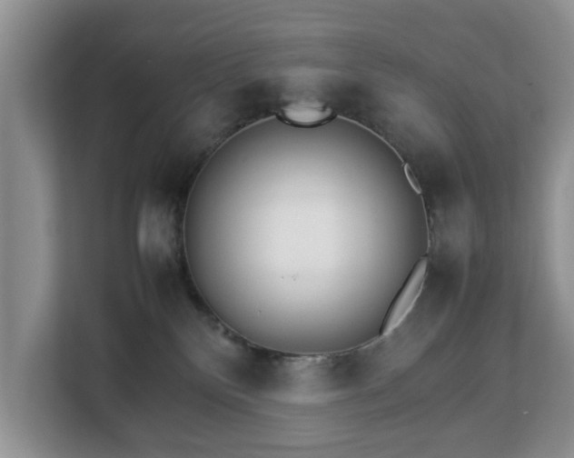 X0000112830136200908281539