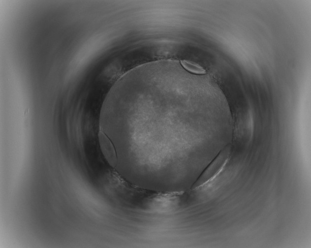 X0000112830140200908281539