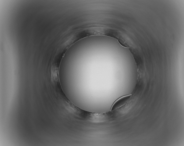 X0000112830141200908281539