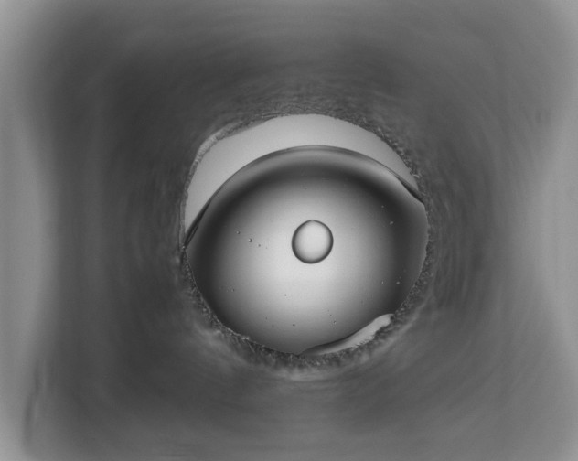 X0000112830144200908281539