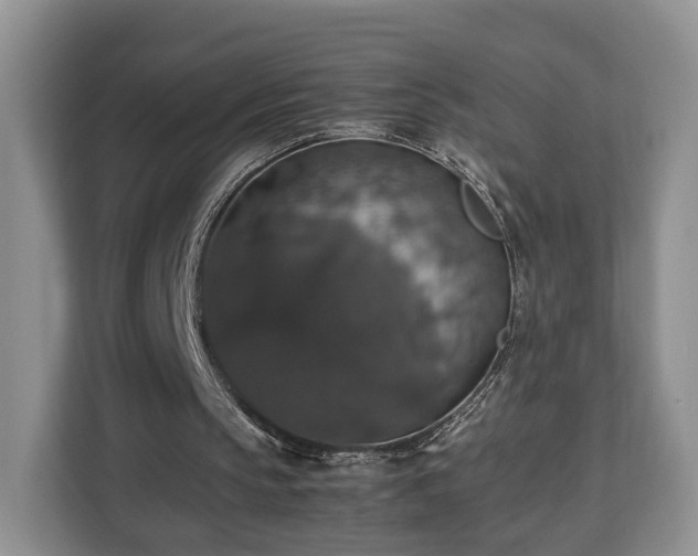 X0000112830145200908281538