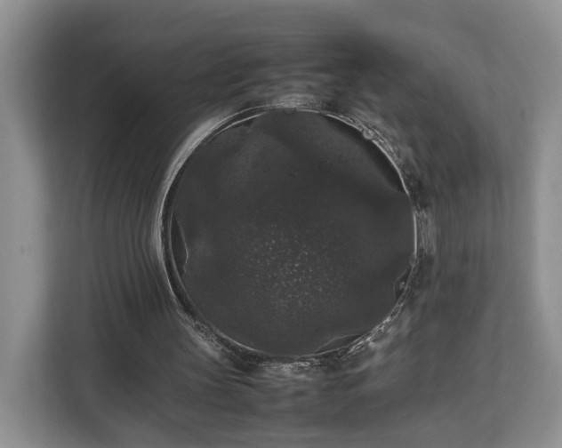 X0000112830147200908281538