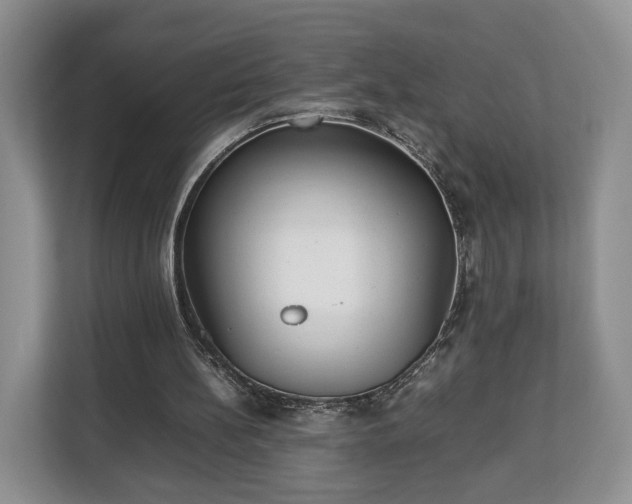 X0000112830148200908281538