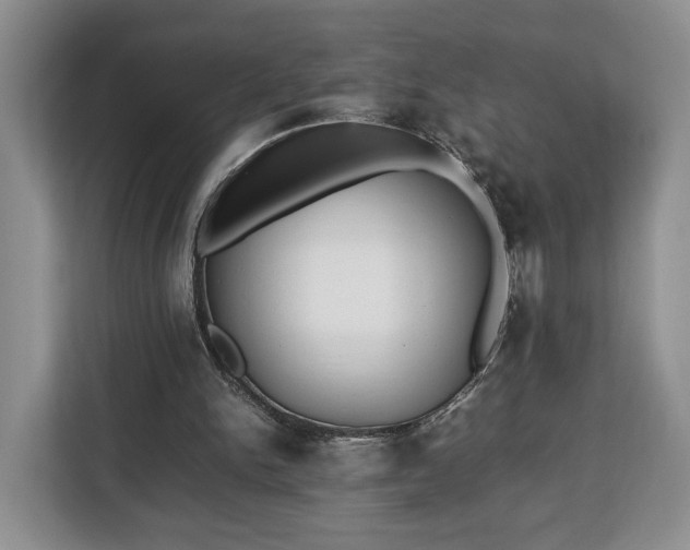 X0000112830150200908281538