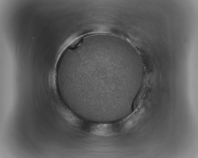 X0000112830152200908281538