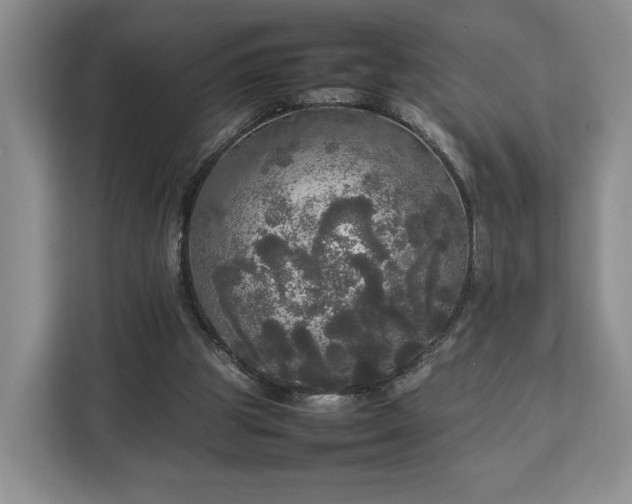 X0000112830153200908281538