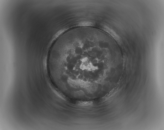 X0000112830155200908281538