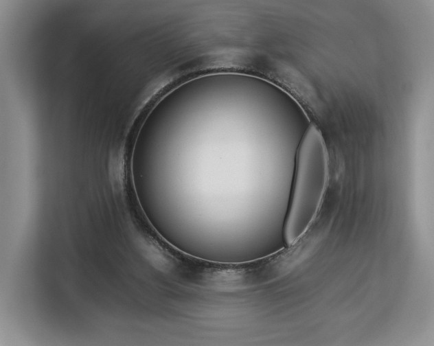 X0000112830156200908281538