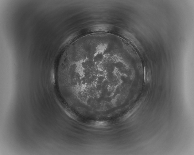 X0000112830157200908281538