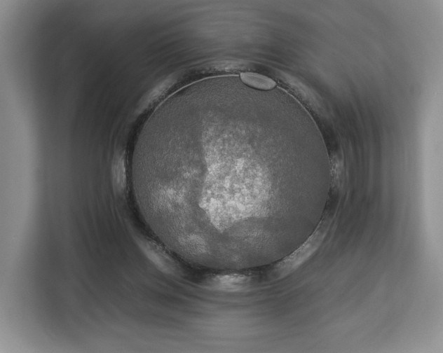 X0000112830158200908281539